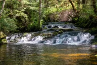 Ketchikan Old-Growth Creek Trek thumbnail 4