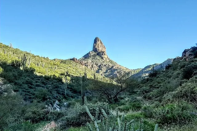 Phoenix Hiking Tour in Superstition Mountains - Image 4