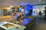 Philadelphia Seaport Museum Admission thumbnail 4