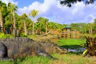 Orlando Wildlife Park and Gator Show thumbnail 2