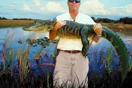 Naples Everglades Airboat and Wildlife Sanctuary Tour thumbnail 4