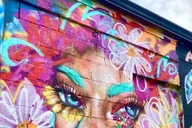 Denver Street Art Tour with Brewery Visit 2 hr thumbnail 6