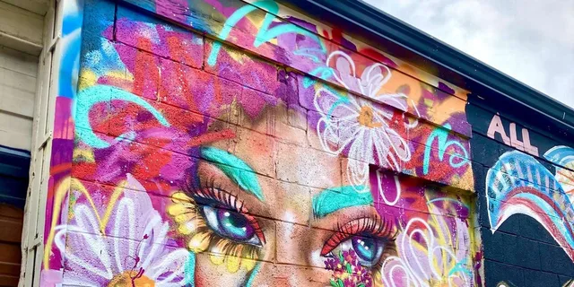 Denver Street Art Tour with Brewery Visit 2 hr - Image 6