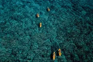 Kailua Self-Guided Kayaking Discovery thumbnail 5