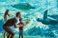San Antonio SeaWorld Skip-the-Line Admission thumbnail 6