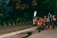 New York City Moonlight Horse Carriage Ride thumbnail 1