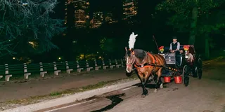 New York City Moonlight Horse Carriage Ride