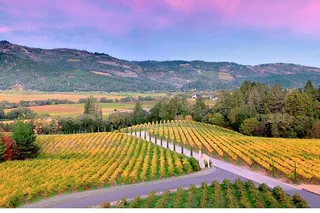 Napa Wine Tour for Up to 4 Guests