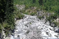 Seattle Mount Rainier Private SUV Tour thumbnail 4