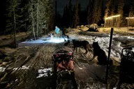 Fairbanks Dog Sledding and Northern Lights Combo thumbnail 6