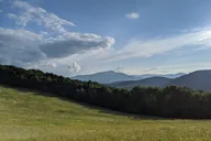 Blowing Rock Horse and Carriage Ride thumbnail 2