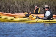 Charleston Kayak Eco Tour 2 hr thumbnail 6