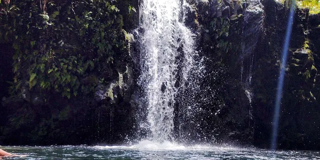 Maui Black Sand Beach and Waterfalls Tour - Image 3