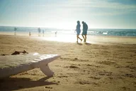 San Diego Private Exploration Tour 5 hr thumbnail 6