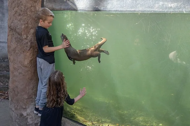 Virginia Living Museum Adventure - Image 6