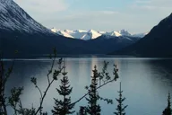 Skagway City & White Pass Summit Tour thumbnail 4