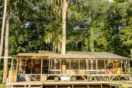 New Orleans Honey Island Swamp Tour thumbnail 3
