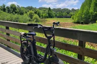 Safety Harbor E-Bike Adventure with Dessert 2 hr thumbnail 3