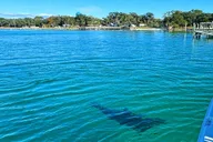 Destin Snorkeling and Dolphin Cruise thumbnail 6