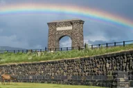 Yellowstone Tour Upper and Lower Loop 2 Days thumbnail 5