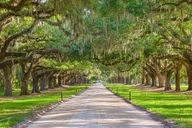 Charleston Boone Hall Plantation Tour 4.5 hr thumbnail 5