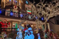 Brooklyn Christmas Walking Tour in French 3.5 hr thumbnail 1