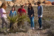 Las Vegas Red Rock Canyon 4x4 Jeep Tour thumbnail 3