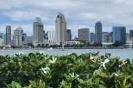 Los Angeles San Diego Private Tour 12 hr thumbnail 1