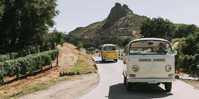 Los Angeles Vintage VW Bus Tour in Malibu - Image 4