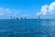 Miami Biscayne Bay Paddle thumbnail 5