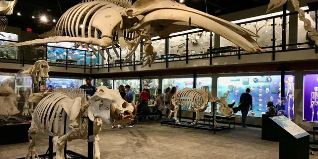 Oklahoma City Museum of Osteology Ticket - Image 1