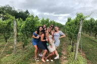 New York City Long Island Wine Tour 8 hr thumbnail 2