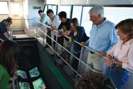 Key West Glass Bottom Boat Reef Tour with Sunset Option thumbnail 5
