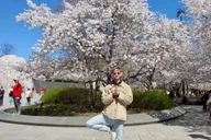 Washington, DC Cherry Blossom Walking Tour thumbnail 2