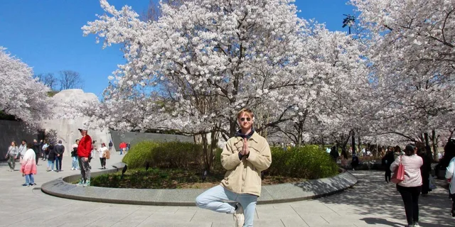 Washington, DC Cherry Blossom Walking Tour - Image 2