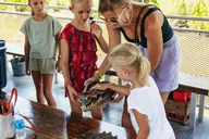 New Orleans Bayou Tour in Jean Lafitte National Park thumbnail 4
