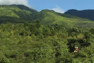 Maui Zipline Adventure in Ka'anapali thumbnail 5