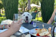 Sedona Wine Tasting Experience at Alcantara Estate thumbnail 2