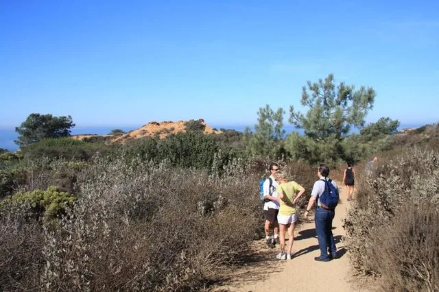 Los Angeles Runyon Canyon Hiking Tour - Image 4