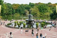 New York Central Park Pedicab Tour thumbnail 2