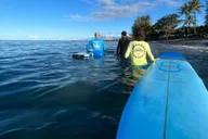 Lahaina Group Surf Lesson thumbnail 4