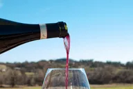 Paso Robles Wine Tasting Aria Flight 90 Min thumbnail 5
