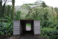 Waikiki Electric Bike Tour to Manoa Falls thumbnail 2