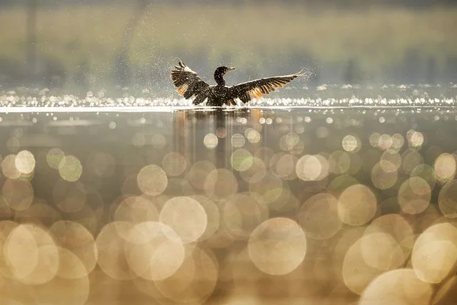 Rio Grande Mindfulness Adventure - Image 1