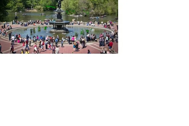 New York Central Park Walking Tour South Loop 2 hr - Image 2