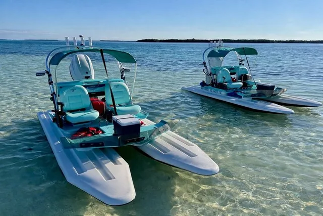 Key West Mini Catamaran Eco Tour 2 hr - Image 1