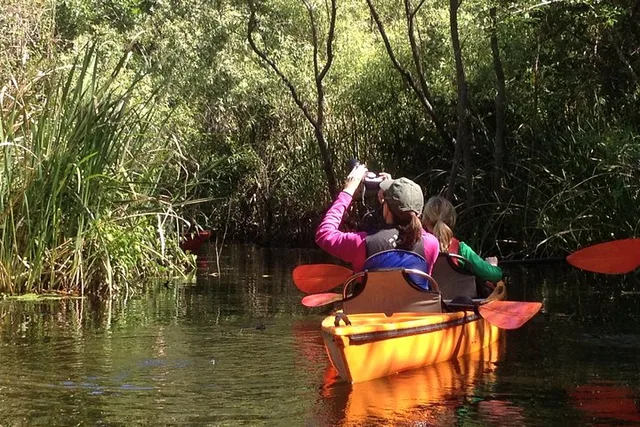 Everglades Kayak Safari Through Mangrove Tunnels - Image 4