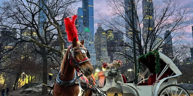 New York Central Park Horse Carriage Ride - Image 2