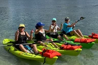 Crystal River Single Kayak Rental 4 hr thumbnail 1