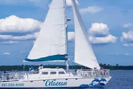 Orange Beach Dolphin & Sailing Cruise on a Catamaran thumbnail 2